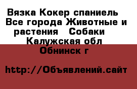 Вязка Кокер спаниель - Все города Животные и растения » Собаки   . Калужская обл.,Обнинск г.